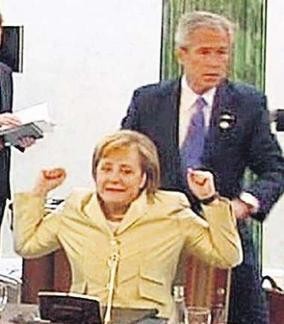 bushmerkel