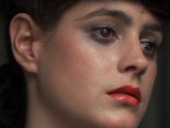 Sex Robots